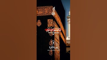 سورة البقره #قران_كريم #الرحمن #اكسبلور #دويتو #duet #تيك_توك #لايك #حالات_واتس #راحة_نفسية