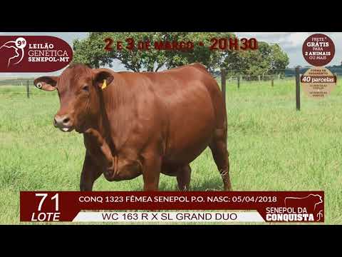 LOTE 71 CONQ 1323