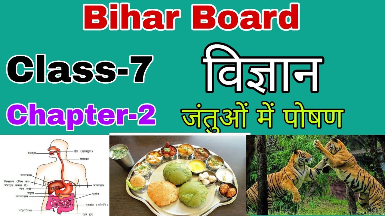 Bihar Board class 7 Science chapter 2 जंतुओं में पोषण Jantuon Me