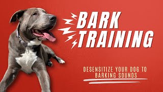 Dog Bark Training | Bark Reactivity | Bark Desensitization Sounds by The Wolf and Bears 303 views 8 days ago 1 hour, 3 minutes