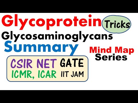 Glycosaminoglycans and glycoprotein biochemistry lecture