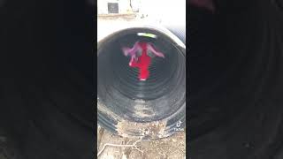 Elmo Having Some Fun