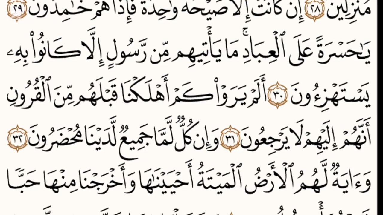 SURAH AL YASEEN FULL QARI AMAR
