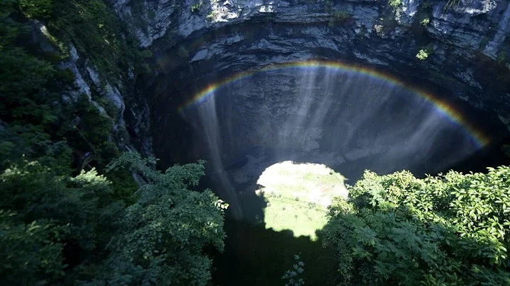 Pre-historic forest discovered in giant sinkhole in China - DayDayNews