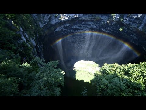 Pre-historic forest discovered in giant sinkhole in China