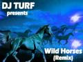 Wild Horses (Indigo Remix) - by DJ TURF Wild Horses (Indigo Remix) - by DJ TURF