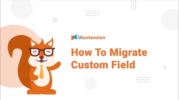 How To Migrate Custom Field With LitExtension
