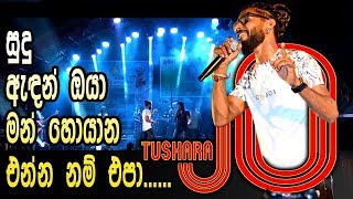 හිත ගාව හීන මාලිගේ | Thushaara JO | Hitha Gaawa Heena | Saharaflash Live in Mihintale