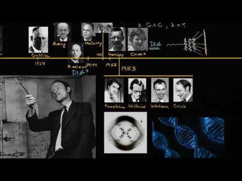 Video: Francis Crick DNA'nın keşfine nasıl katkıda bulundu?