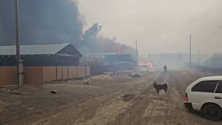 🔥ПОЖАР В Иркутской области! Горит лес, огонь дошёл до частных домов!