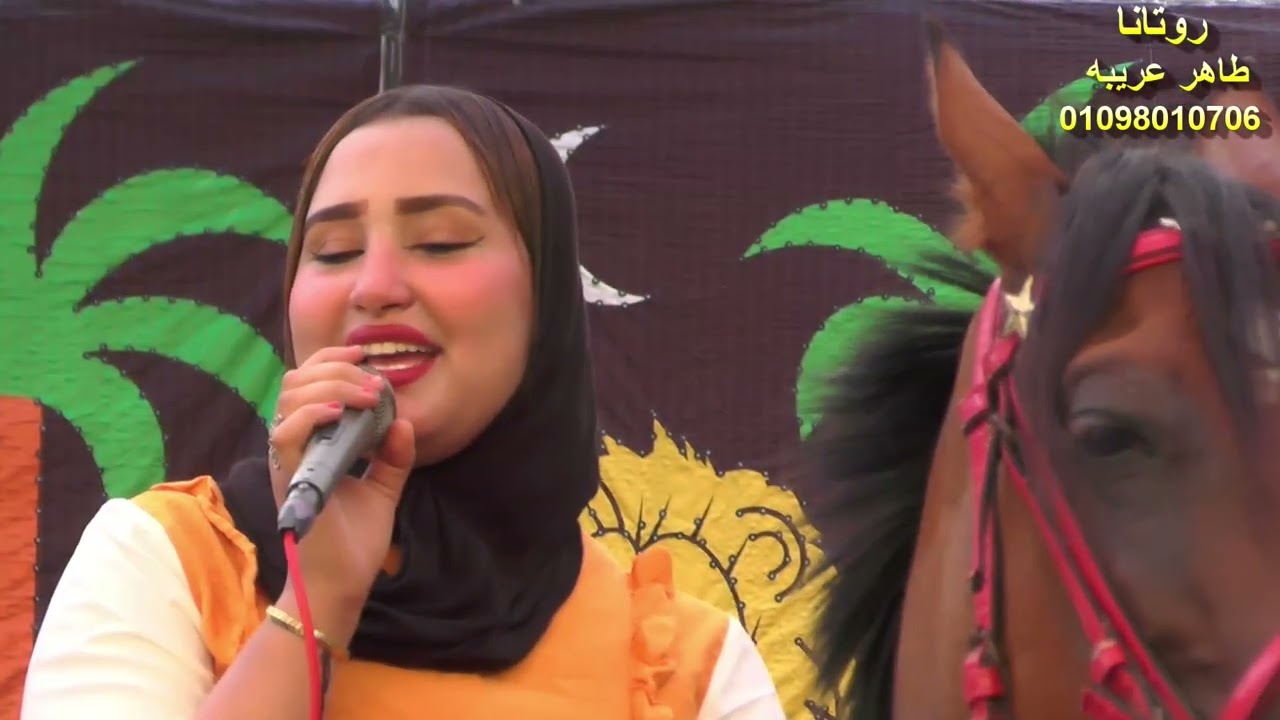 حلويات الكابتن شهد مع فيديو روتانا طاهر عريبة ٠١٠٩٨٠١٠٧٠٦