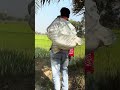 বেদুইন।। #shortvideo #everyone #followers #villagetoday