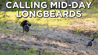 CALLING TO Longbeards Midday | Call Breakdown For A Midday Hunt Scenario!!