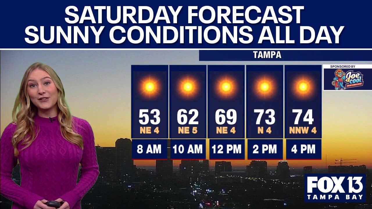 Tampa weather | Sunny and refreshing conditions - YouTube