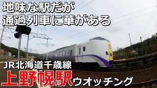 【一日散鉄】駅は地味だが通過列車に華がある千歳線上野幌駅