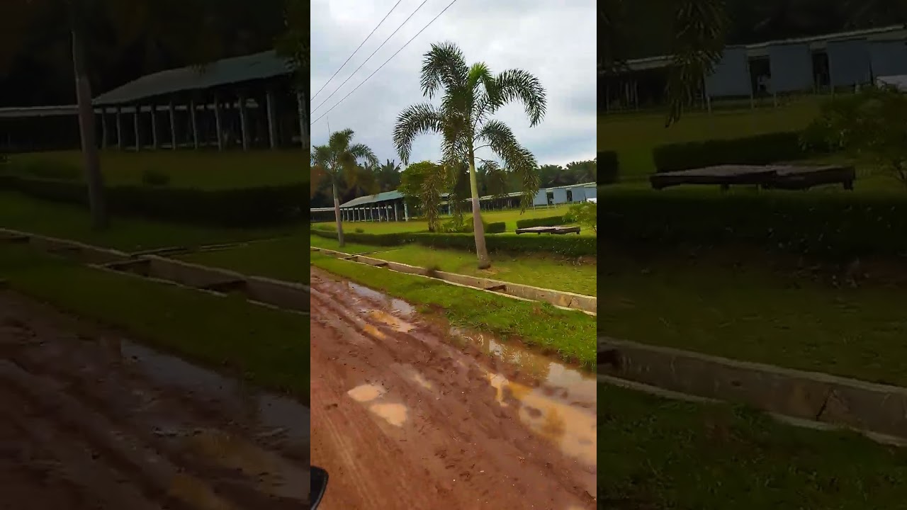 Perumahan mustika sembuluh 1 bedeng H