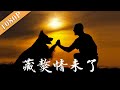 《藏獒情未了》/Tibetan Mastiff Bento  请自备纸巾，狗狗舍命相救却遭主人遗弃 （侯军 / 李明益）|世界第一部人与巨犬藏獒的影视作品 Drama