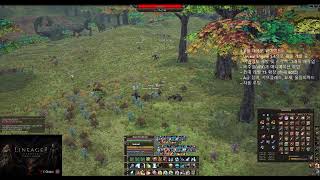 리니지2 클래식Lu4 해외서버 (언리얼엔진4) #Lineage2 #L2 #天堂2 #리니지2 #리니지2클래식