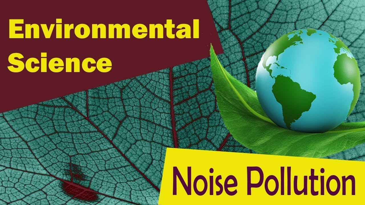 Noise Pollution Chart For School