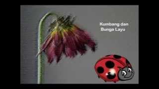 Angan - Angan