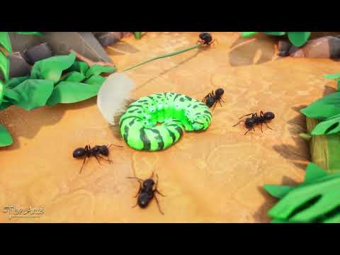 As formigas: Reino subterrâneo
