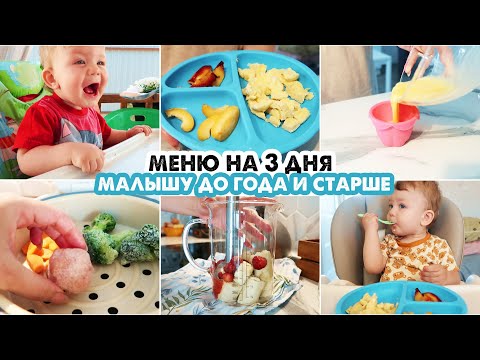 Видео: Количка за новородено - правила за избор