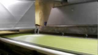 Palmetto Adhesives Company