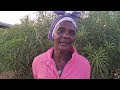 LUMEZI VOTING AND COUNTING
