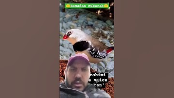 القران الكريم #تلاوات_خاشعة #تلاوات_عطرة #viralshort #viralvideo #explore @super fans