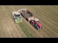 Chopping 5th Cutting Alfalfa | Final Day of Harvest 2019