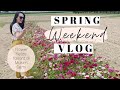 Weekend di musim semi  weekend vlog vlog eps7  dara karina