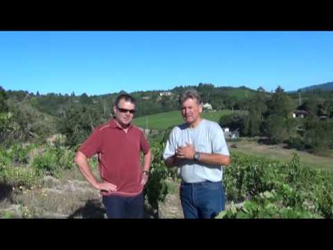 Portalupi Wines: Best Zinfandel