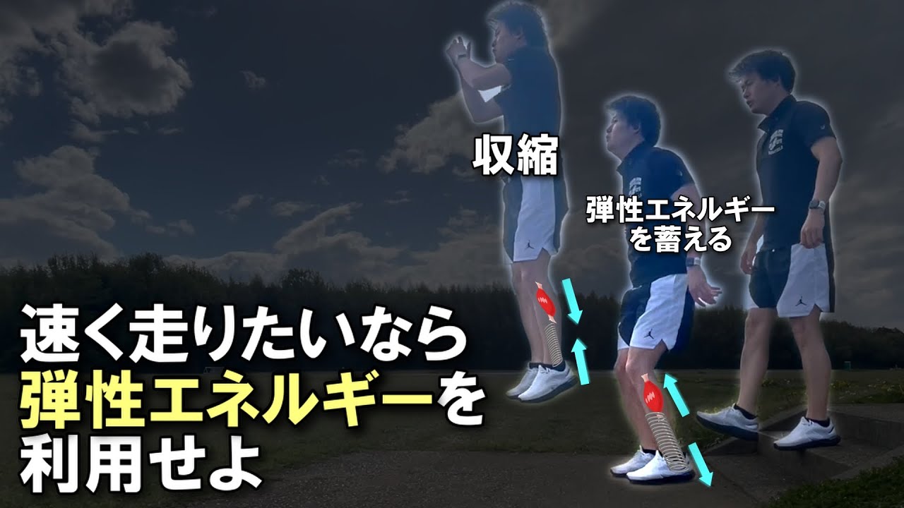 スピードに対するプライオメトリクスの効果とは [論文から学ぶ補強 2]