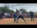 Musangwe tshenge vs cena