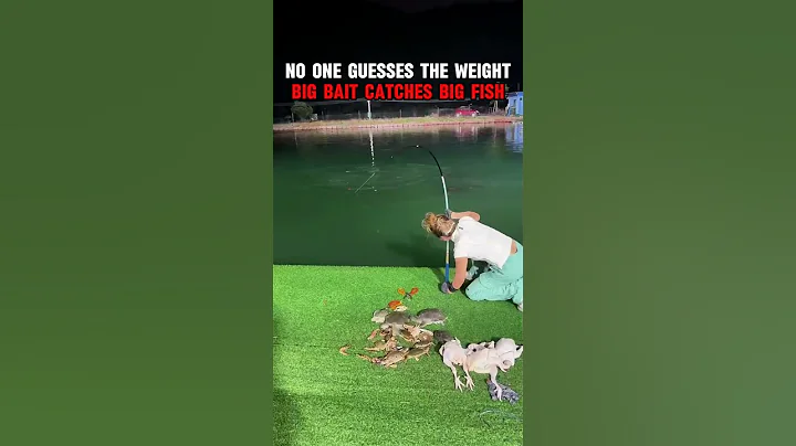 Biggest bait, biggest fish, biggest surprise!#fishing #fishinglife #bigfish #casting #fishingvideo