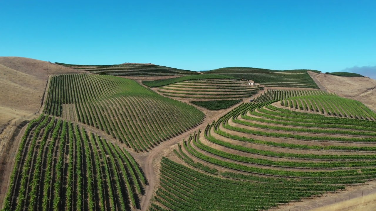 Coastview Vineyard Flyover