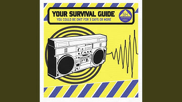 Fool to Try (feat. The Snowman)