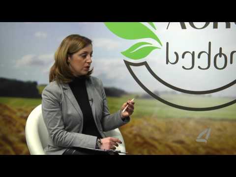 ძროხის მოვლა, როგორ გავზარდოთ წველადობა