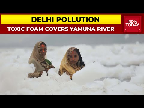 Toxic Foam Covers Yamuna River, Chhatth Devotees' Holy Dip In Filthy Water