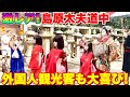【激レア】舞妓さんより珍しい島原太夫を見て外国人観光客大喜び！生の海外の反応
