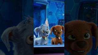 Rocky and Zuma / Beverly Hills (Paw Patrol: The Movie) (Заказ) #tigerprojectchannel