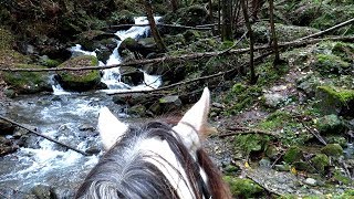 EL SENDERO DEL RIO