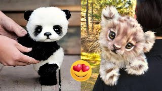 😍 Cute and Funny 🥰 Baby Animals 😚 Video Compilation 🧸 | Try Not To Laugh Animals 🐣 by For Your Fun 3,216 views 1 year ago 10 minutes, 15 seconds