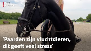 Pensionstal Eemnes wil geen windmolen van Baarn | RTV Utrecht