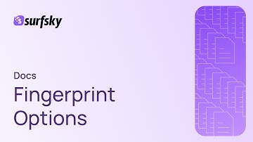 Antidetect Browser Fingerprint Options