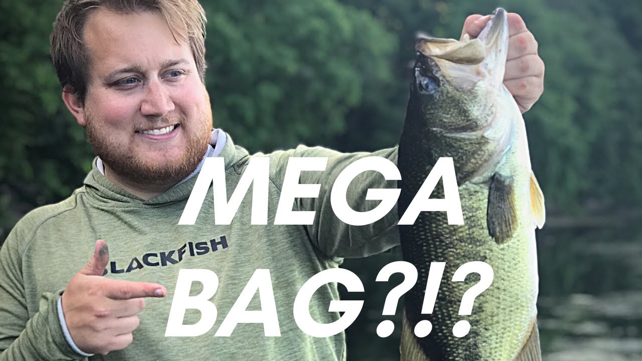 A little bit of everything - Junk Fishing for bass in Southern Minnesota