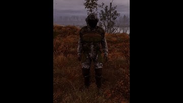 S T A L K E R  2  Heart of Chornobyl No bugs , Only Anomalies!