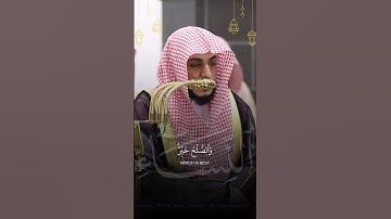 قبس من تراويح ليلة ٧ رمضان ١٤٤٦هـ | تلاوة فضيلة الشيخ د.الوليد بن خالد الشمسان