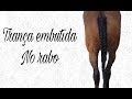 Trança embutida no rabo do cavalo