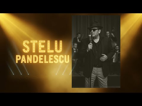 Stelu Pandelescu - Sunt Vagabondul vietii mele ( Cover )